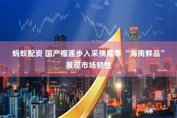 蚂蚁配资 国产榴莲步入采摘尾季 “海南鲜品”展现市场韧性